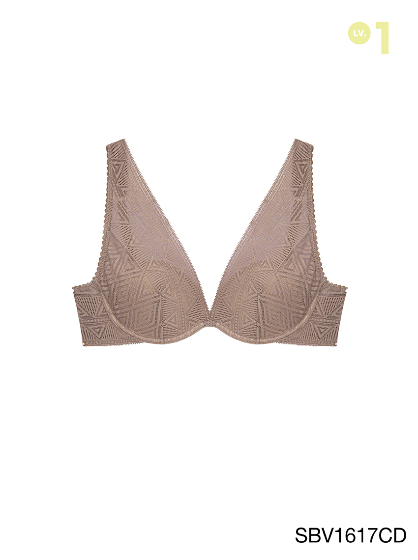 Basic Lace AW 23 Wired Bra
